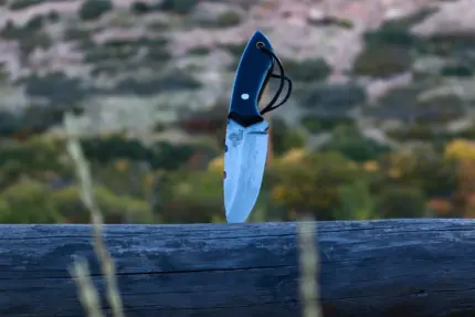 Rawhide 350 Hunting Knife