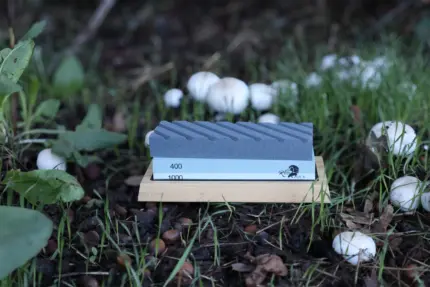 Premium 400/1000 Whetstone Sharpening Kit